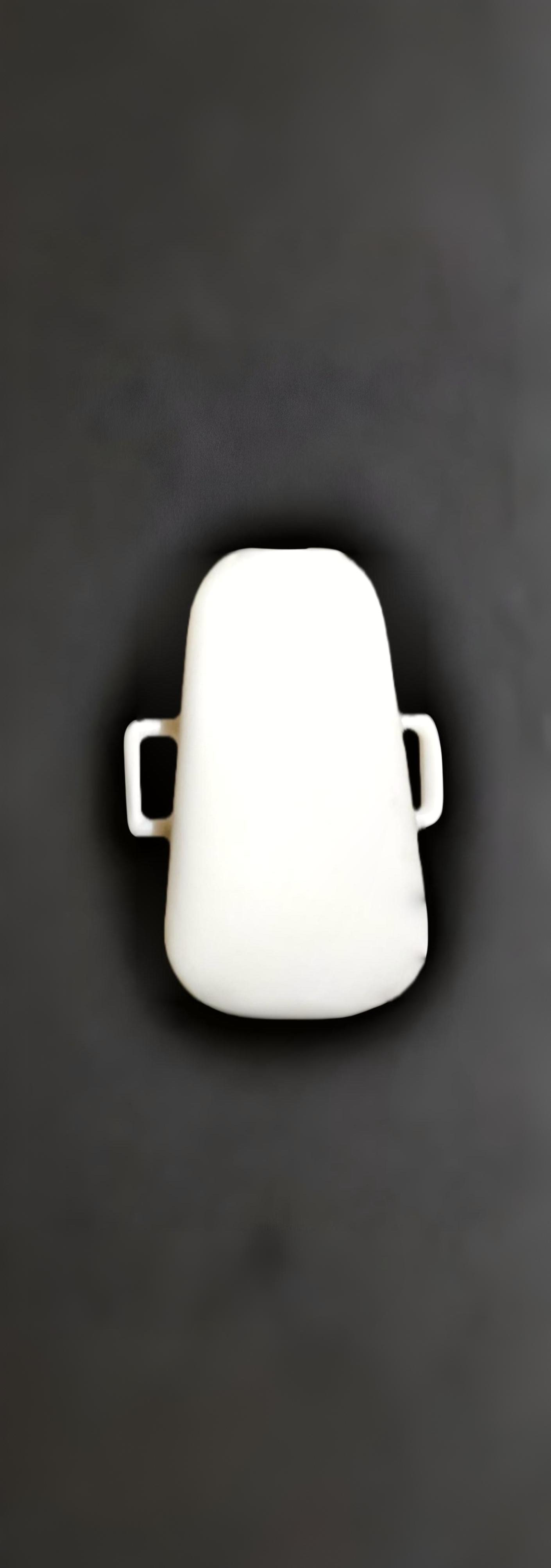 ZenBand Pro